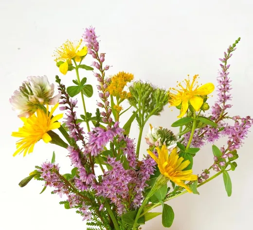 Sensommarhonung